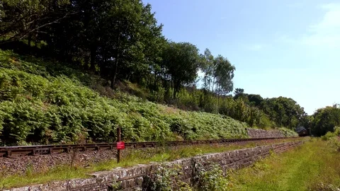Classic steam train producing smoke travelling through countryside Stock Footage 80323642