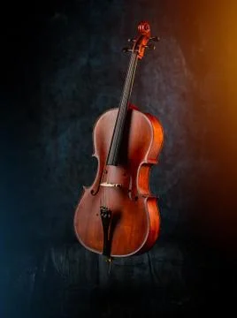 Classic stringed musical instrument Stock Photos