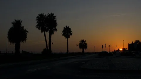 Classic sunset with palm trees and an airplane flying over a parking spot Stockbeeldmateriaal 111150103