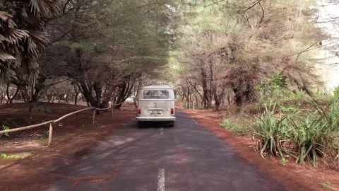 A classic van cruises down a quiet, tree-lined road. Stockbeeldmateriaal 310345910