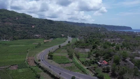 A classic van cruises down a quiet, tree-lined road. Stock Footage 310346437