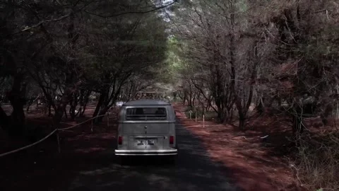 A classic van cruises down a quiet, tree-lined road. Stockbeeldmateriaal 310548870