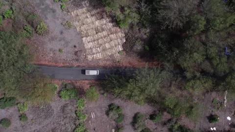 A classic van cruises down a quiet, tree-lined road. Stockbeeldmateriaal 310548875