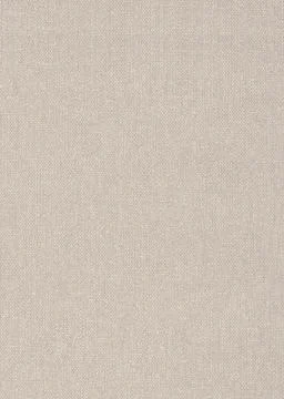Classic Wallpaper - Background Foto stock