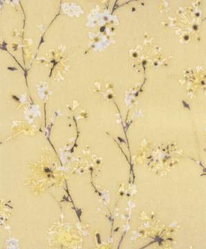 Classic Wallpaper - Background Stock Photos