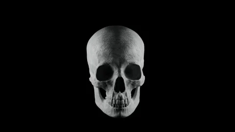 Classic White Plaster Human Skull Rotating Loop on Black Stock Footage 340179079