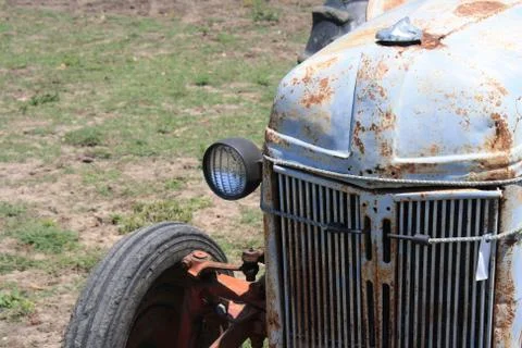 Classic Workhorse Stock Photos
