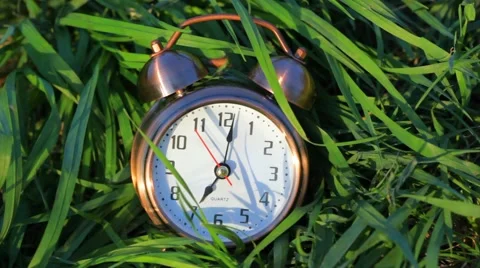 Classical alarm clock lying and ringing in grass Video stock 992881