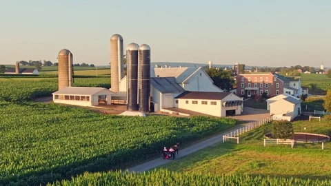Classical Amish farm with horse and buggy entering lane, Lancaster County Video stock 113282928