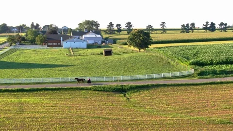 A classical Amish horse-drawn buggy pulls up to an intersection in the Video stock 113283226