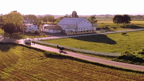 A classical Amish horse drawn buggy pulls up to an intersection in Video stock 113283454