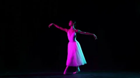 Classical ballet female dancer on pointe doing elements of classical ballet Stock Footage 211997064