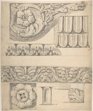 Classical Border Elements with Vines and Leaves 177679 Attributed to Thomas.. Stock Photos