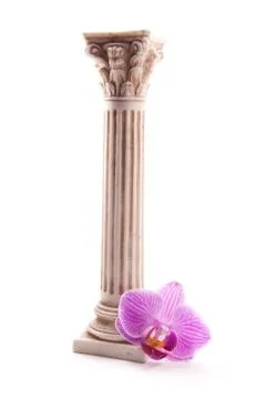 Classical column with flower Stock Photos