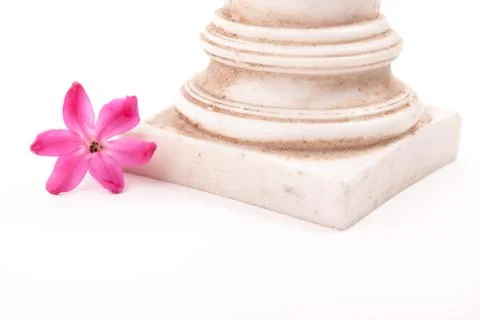 Classical column with flower Stock Photos