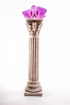 Classical column with flower Stock Photos
