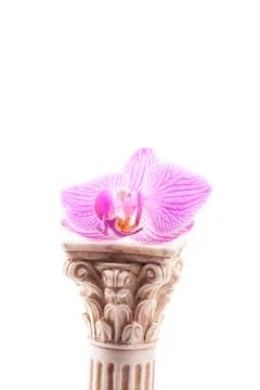 Classical column with flower Stock Photos