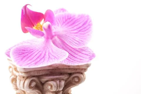 Classical column with flower 写真素材