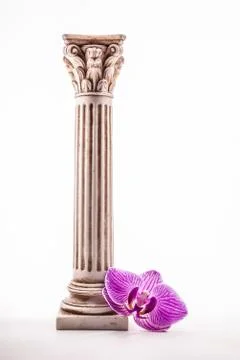 Classical column with flower 写真素材
