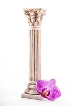 Classical column with flower Stock Photos