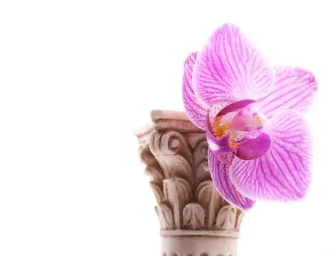 Classical column with flower Stock Photos