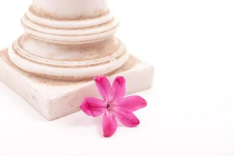 Classical column with flower 写真素材