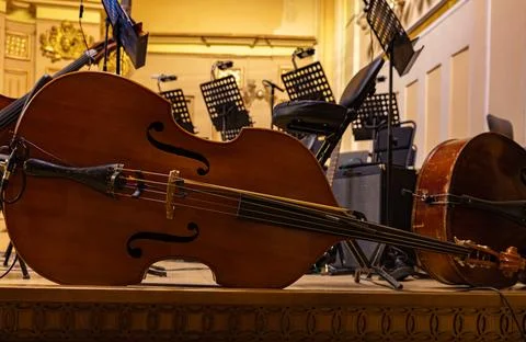 Classical double bass or cello on stage of empty philharmonic concert hall Stock Photos