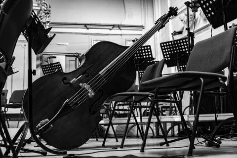 Classical double bass or cello on stage of empty philharmonic concert hall Stock Photos