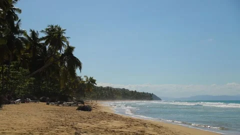 Classical exotic Caribbean beach with palms on the background at the wavy ocean. Stock Footage 201912818
