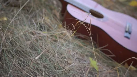 Classical guitar in the shadow lies in the grass Stock Footage 94710494
