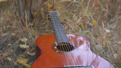 Classical guitar in the shadow lies in the grass Stock Footage 94710651