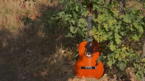 Classical guitar in the shadow lies in the grass Stock Footage 94710679