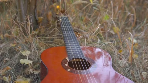 Classical guitar in the shadow lies in the grass Stock Footage 94710681