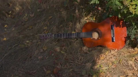 Classical guitar in the shadow lies in the grass Stock Footage 94710728