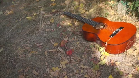 Classical guitar in the shadow lies in the grass Stock Footage 94710797