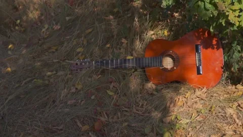 Classical guitar in the shadow lies in the grass Stock Footage 94710802