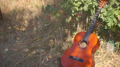 Classical guitar in the shadow lies in the grass Stock Footage 94710850