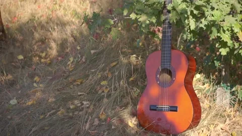 Classical guitar in the shadow lies in the grass Stock Footage 94710913