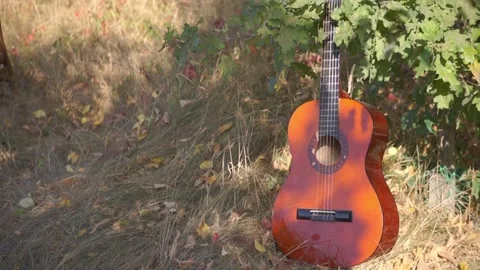Classical guitar in the shadow lies in the grass Stock Footage 94710918