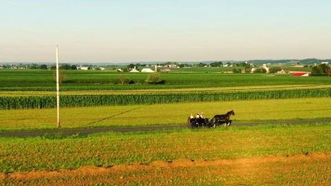 A classical horse-drawn Amish buggy ride through the town of Intercourse Video stock 113282874