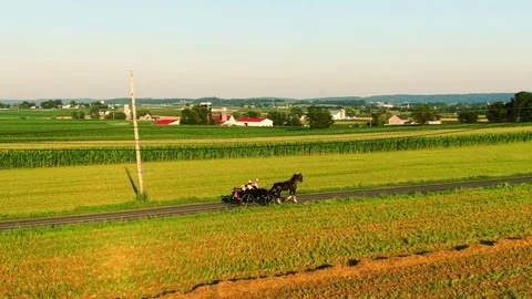 A classical horse-drawn Amish buggy ride through the town of Intercourse Video stock 113282938