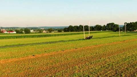 A classical horse-drawn Amish buggy ride in Lancaster County Pennsylvania Video stock 113283344