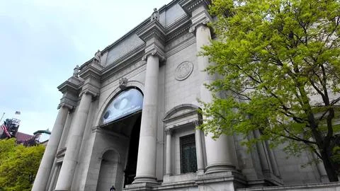 Classical Museum Facade with Spring Trees Stock Photos