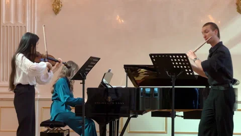 Classical music orchestra playing instruments Stock Footage 314380483