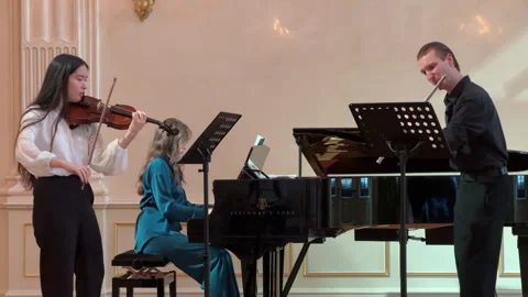 Classical music orchestra playing instruments Stock Footage 314380494