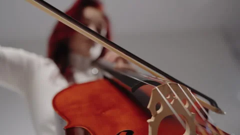 Classical music playing stringed classical musical instruments, Stock Footage 315772673