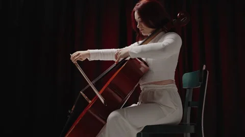 Classical music playing stringed classical musical instruments, Stock-Footage 323997137