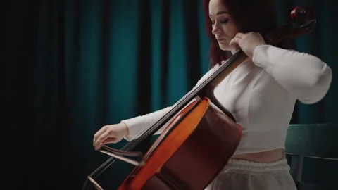Classical music playing stringed classical musical instruments, Stock Footage 323997361