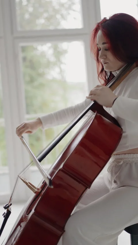 Classical music playing stringed classical musical instruments, Stock Footage 323997545