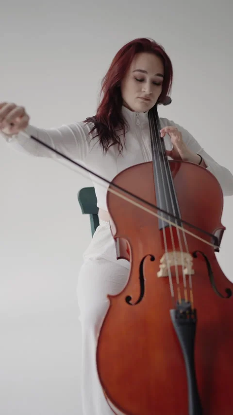 Classical music playing stringed classical musical instruments, Stock Footage 323997618
